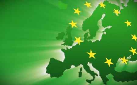 Patolízalství a Green Deal: Vláda Petra Fialy v kontextu evropských ambicí