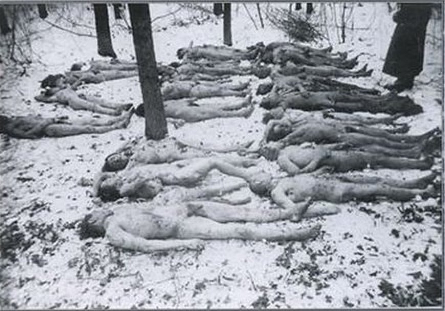 Volyňský masakr: brutální svědectví a zločiny na civilistech